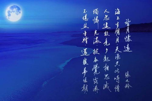 管家婆期期精选资料大全|定性分析解释落实_可变版.0.502