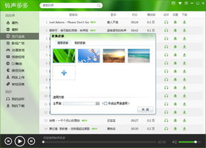(铃声多多怎么在电脑上用)如何在铃声多多电脑版上顺利登录账号，详细步骤与技巧分享