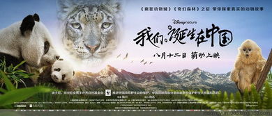 新澳六开彩开奖号码今天|智能解答解释落实_探险版.1.27