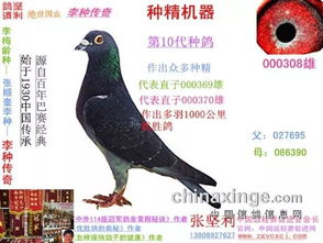 香港四不像图正版资料大全|权威解答解释落实_至尊版.2.389