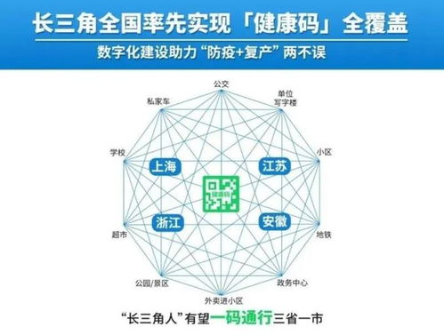 澳门码开奖情况近15期|解析机构预测的实施策略_防御型.4.981