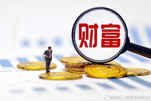 2024新澳六叔最精准资料|效率资料解释落实_PS.9.62