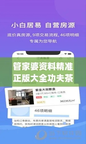 管家婆资料精准正版大全功夫茶|探寻幸运密码与生活智慧_正式集.5.541