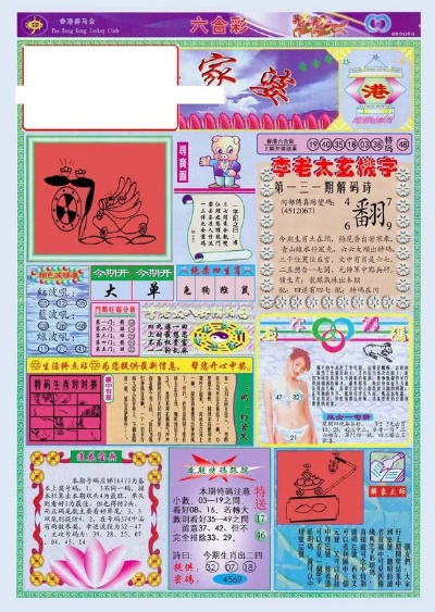 管家婆资料精准正版大全功夫茶|探寻幸运密码与生活智慧_正式集.5.541