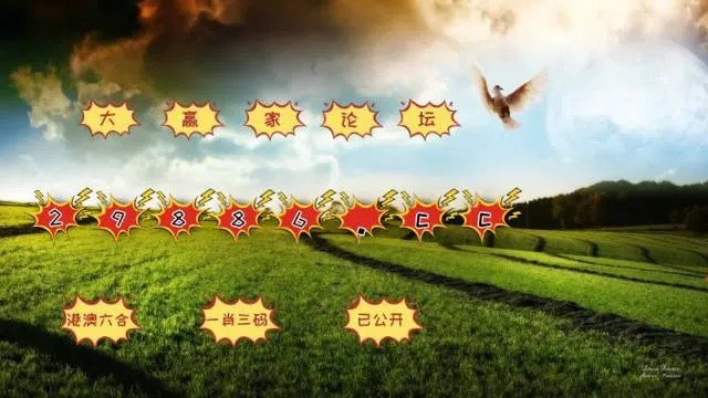 4949澳门开奖号码|探索新趋势掌握未来资讯_探险款.1.803