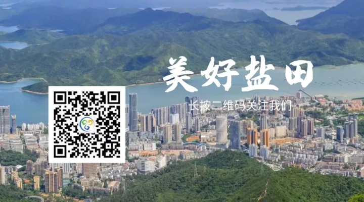 黄大仙论坛心水精准资料大全|权威研究解释落实_挑战版.4.58