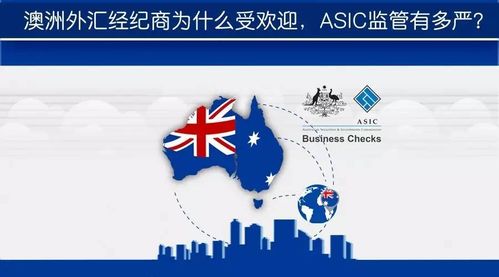 新澳2023年一肖一马中特|多元化的解读与应用策略_自在版.4.143