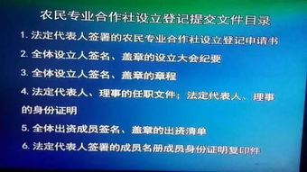 澳门最精准真正最精准龙门蚕|重要性解释落实方法_嵌入款.0.602