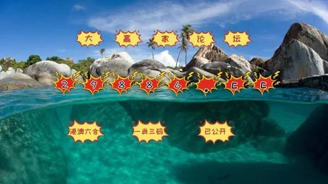 澳门天天六开彩正版澳门挂牌|预测分析解释落实_探险款.1.803