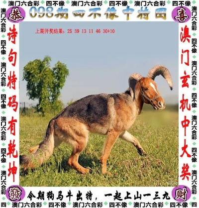 2024澳门精准资料四不像|综合解答解释落实_探索集.6.585