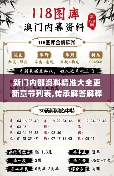 新门内部资料精准大全最新章节免费|深入解答解释落实_定时款.2.698
