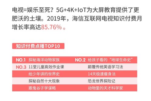 2023香港正版资料大全介绍|详细解读解释落实_嵌入款.0.602